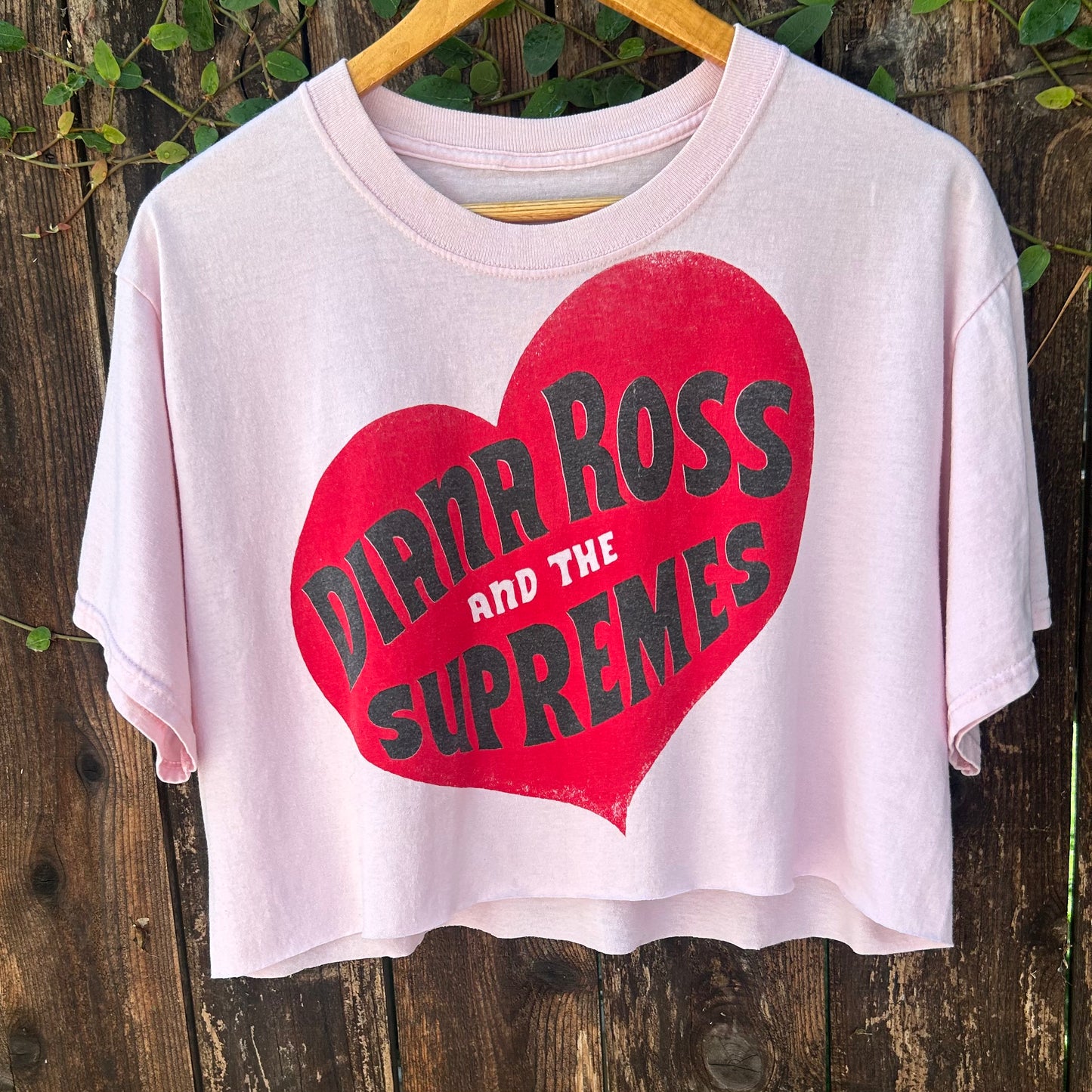 Diana Ross and the Supremes XL Light Pink Cropped Tee