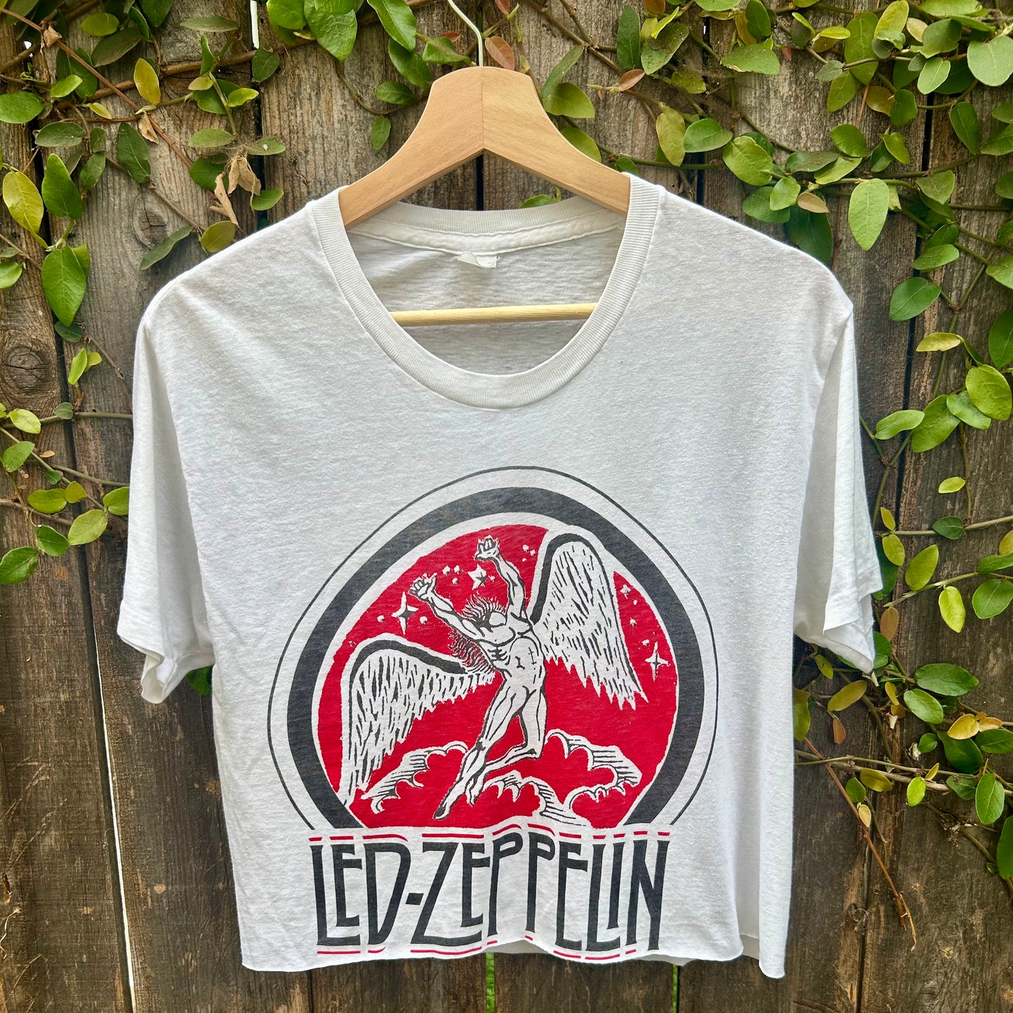Led Zeppelin White Medium Vintage Cropped Tee Shirt
